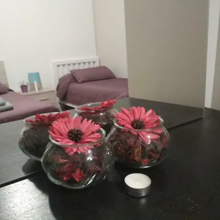 Bed & Breakfast Start-line Airport